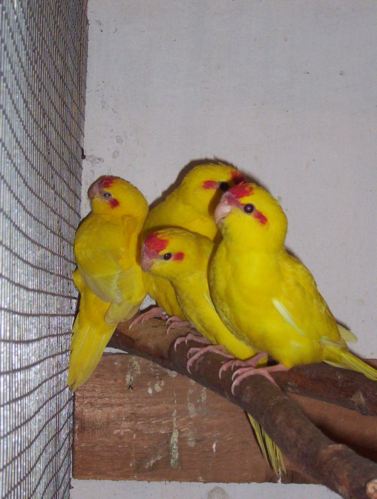 100_6069.JPG